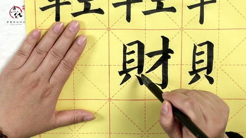 贝字旁的有什么字