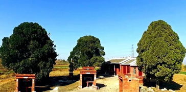 金城汤池的汤字是什么意思，三棋金城汤池