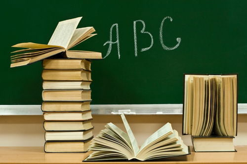 学习计划怎么写500字