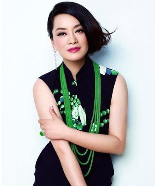 女歌手毛阿敏的简历