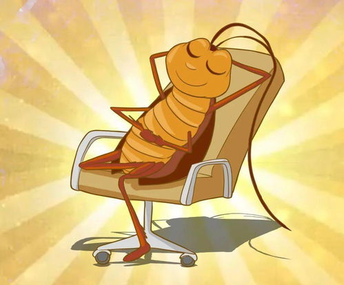 是谁在敲打我窗 歌词，是谁在敲打我窗,是谁在撩动琴弦(打一歌名)