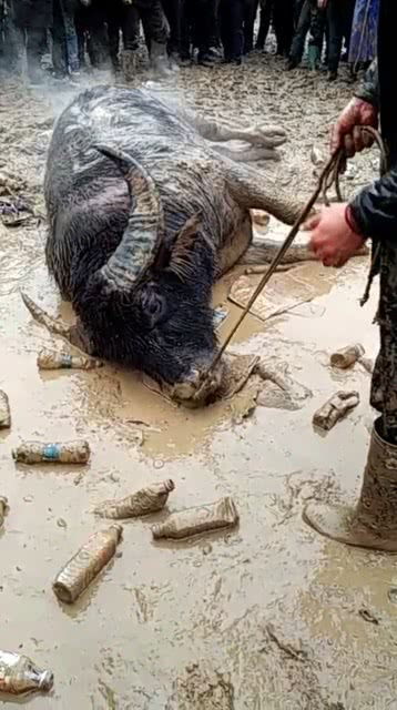 奄奄一息的意思奄奄的意思，奄奄一息的意思戴表的人