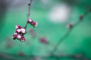 春寒料峭是什么意思