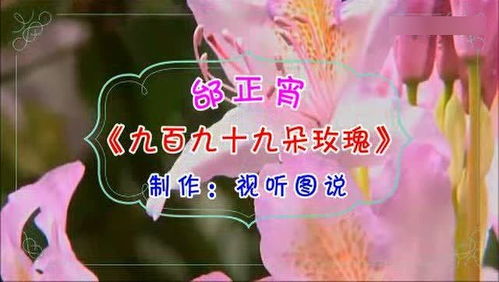 亲爱的你想我吗歌词，亲爱的你想我吗简谱教唱