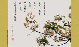 优美词句摘抄大全，优美词句摘抄大全小学生