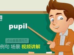 pupil怎么读
