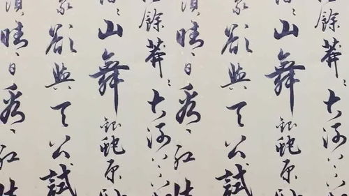 沁园春·雪赏析