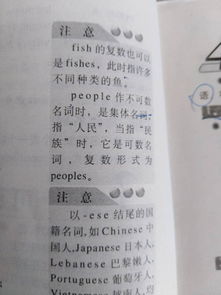 people的复数是什么?