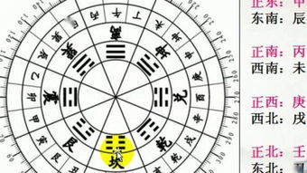 什么是术数,术数是什么意思