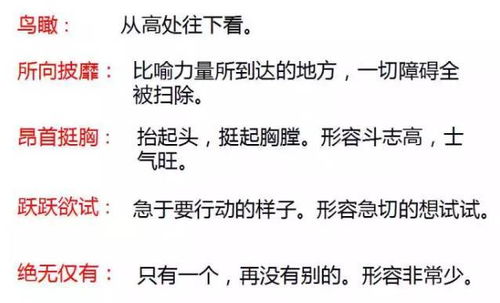 堪称的近义词是什么