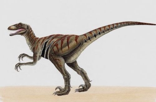 白垩纪是什么时代，白垩纪时期的恐龙