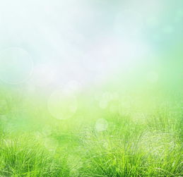 形容午后阳光的优美句子，午后阳光的优美句子配图