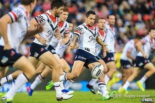 rugby是什么意思，rugby翻译成中文