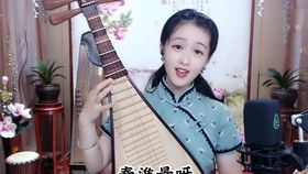 秦淮景吴侬软语怎么唱