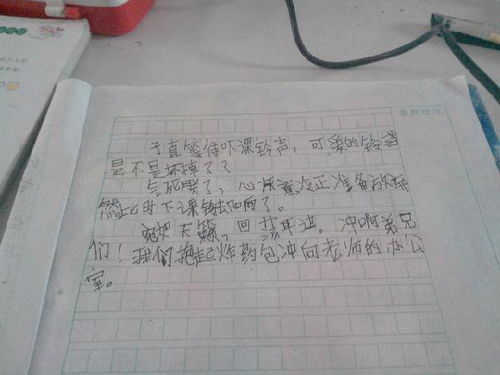 写作文五篇100字