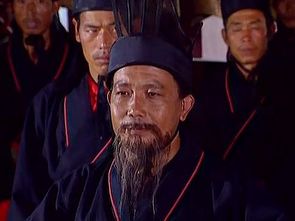 王连,字文仪,南阳人也文言文翻译，王连读什么