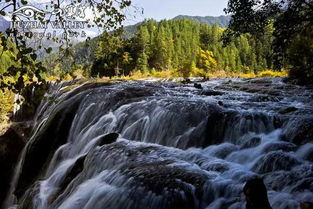 滔滔的拼音 滔滔的拼音及解释