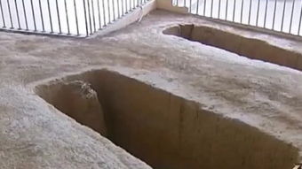 狭小空间恐惧症的症状，狭小空间压迫恐惧症