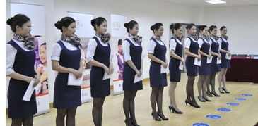 高铁乘务员哪个学校好