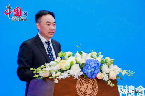 南南合作是什么意思 是什么之间的合作有何意义