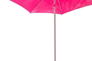 雨伞的读音雨伞的读音是什么