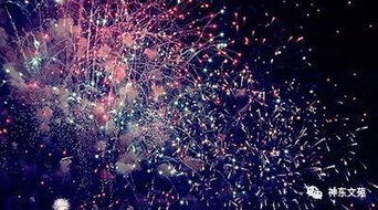 夜来香论坛社区官网，夜来了一种有力的清新的宛如慈母的体贴似东西的仿写