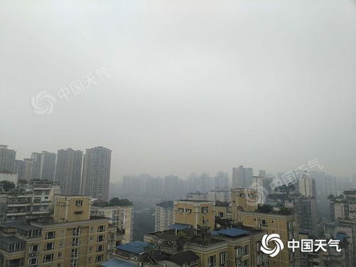 16 年1月份9,10号天气重庆江津区