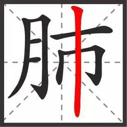 芾字怎么读巴金，芾用于人名怎么读