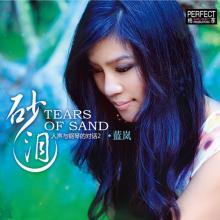 国潮1980女主篮岚还是霍