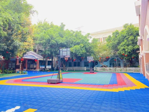 篮球运动场英语，运动场英语缩写