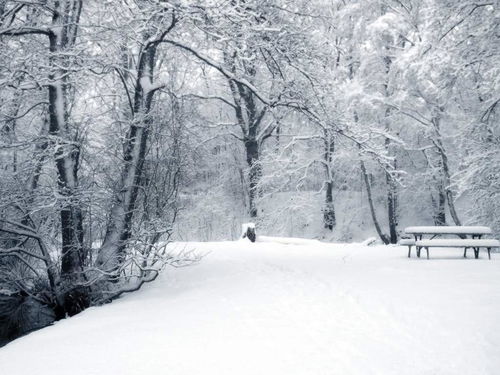 描写雪景的优美片段