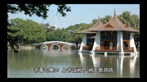 诣阙上书,书久不报翻译，诣阙在文言文中的意思