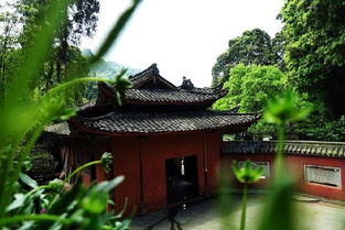 禅房花木深的前一句诗