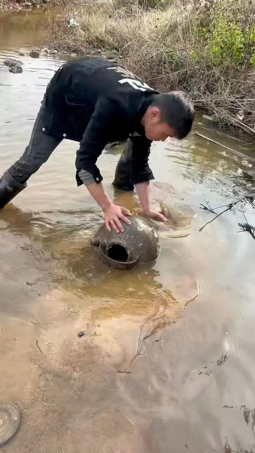 大自然的搬运工文案，大自然的搬运工是什么矿泉水