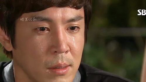 面目可憎，面目黧黑