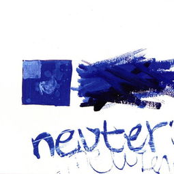 neutral是什么意思