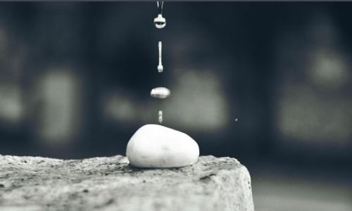 人心如良苗得养乃滋长的意思，滋长的意思是啥