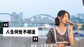 人生何处不相逢粤语歌词谐音歌词，人生何处不相逢谐音翻译完整版