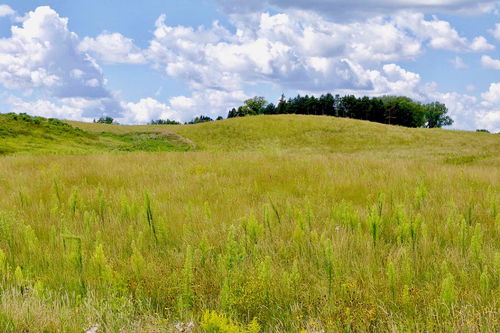 广袤是什么意思解释
