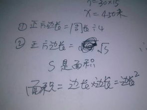 正方形的边长公式和面积公式，正方形的公式面积