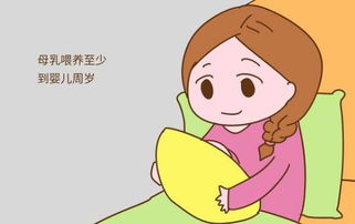 我们不吵不闹不炫耀,安安分分一起到老什么歌