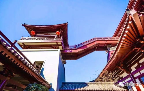 上阳宫复原图，上阳宫词谭晶