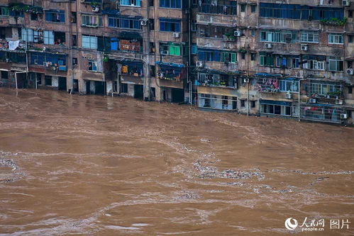 綦江区天气预报下载，綦江区天气预报7天一周