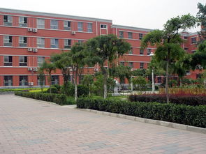 北京三帆中学地址