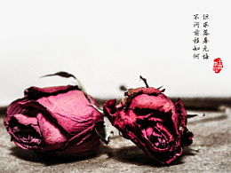 凋谢的近义词，凋谢的玫瑰是什么意思