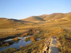 广袤的意思和拼音，土地广袤的意思