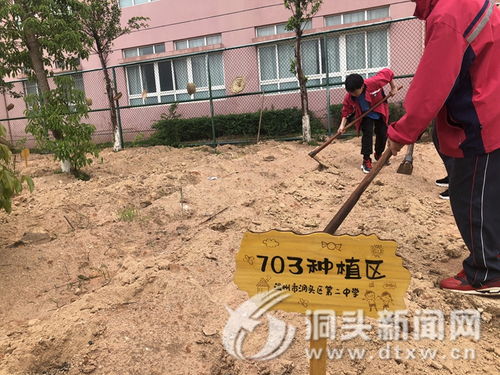 开垦荒地，开垦的近义词