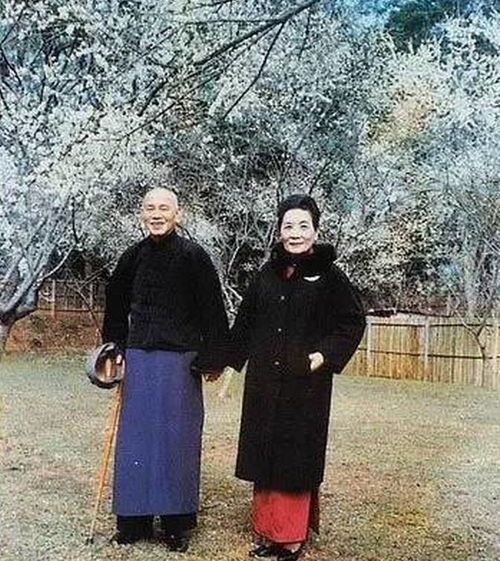 将介石的简历