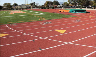 运动场的英语翻译 运动场用英语怎么说