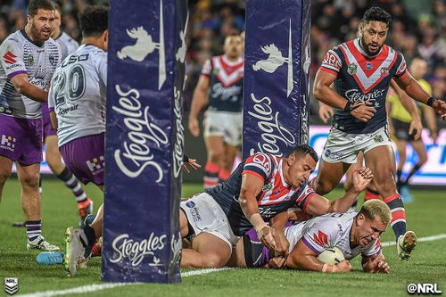 rugby是什么意思